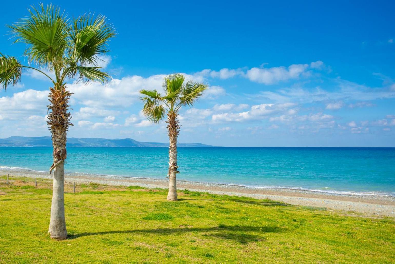 Villa Rose Paphos Bagian luar foto